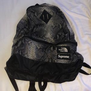 Supreme x North Face snakeskin carry bag